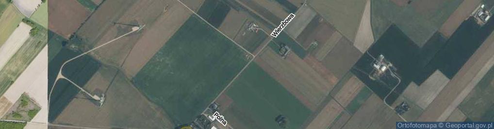 Zdjęcie satelitarne Wierzbowa ul.